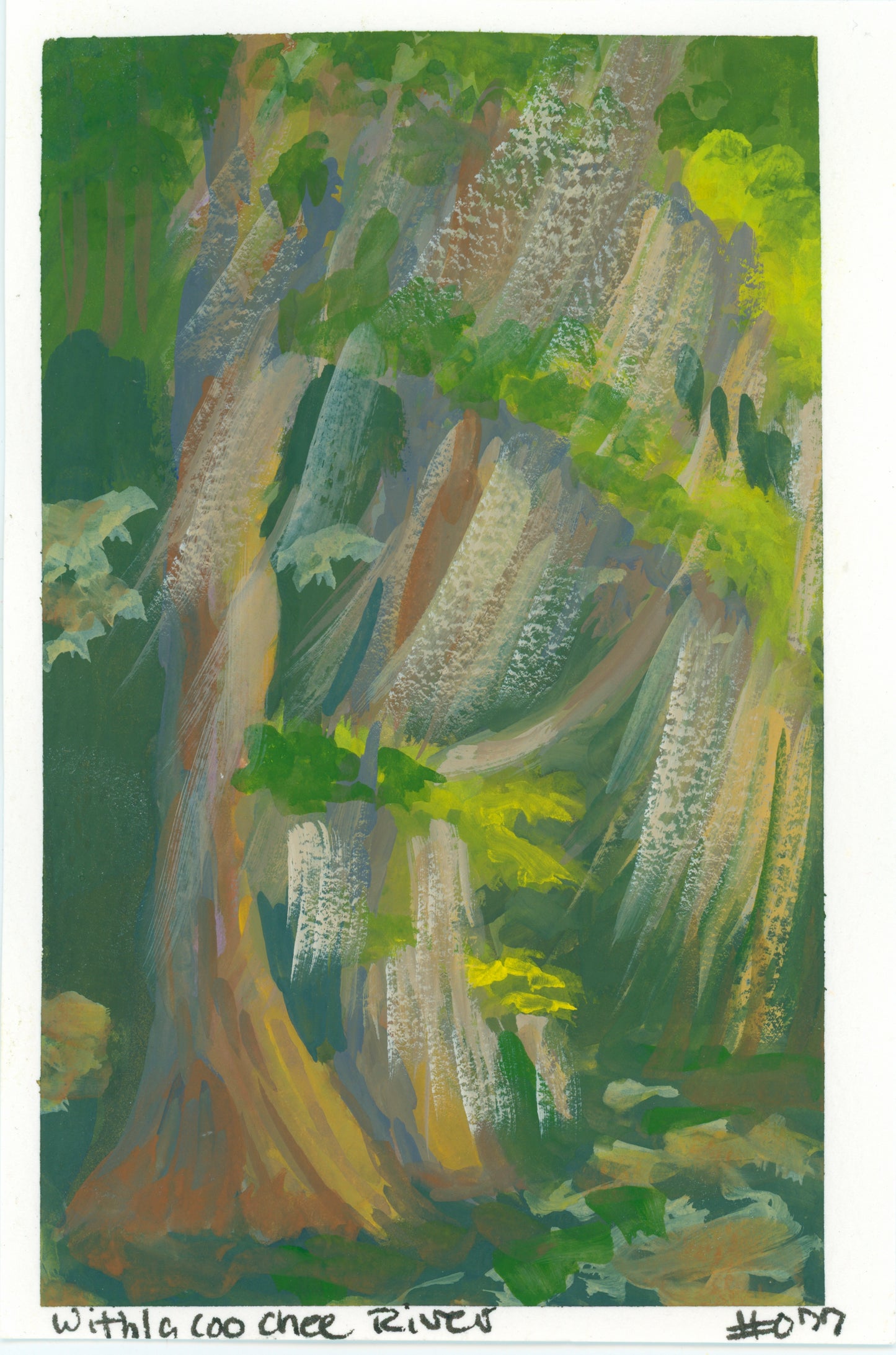 Withlacoochee River