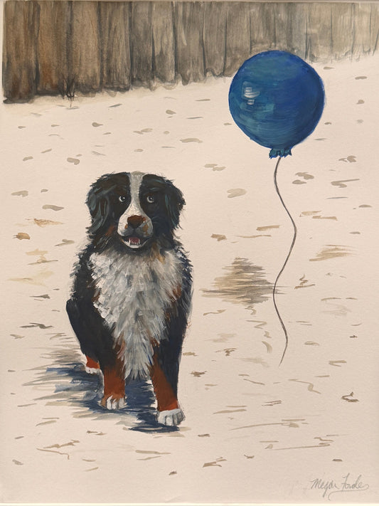 Framed artwork of a Bernese Mountain Dog with a blue balloon in a backyard